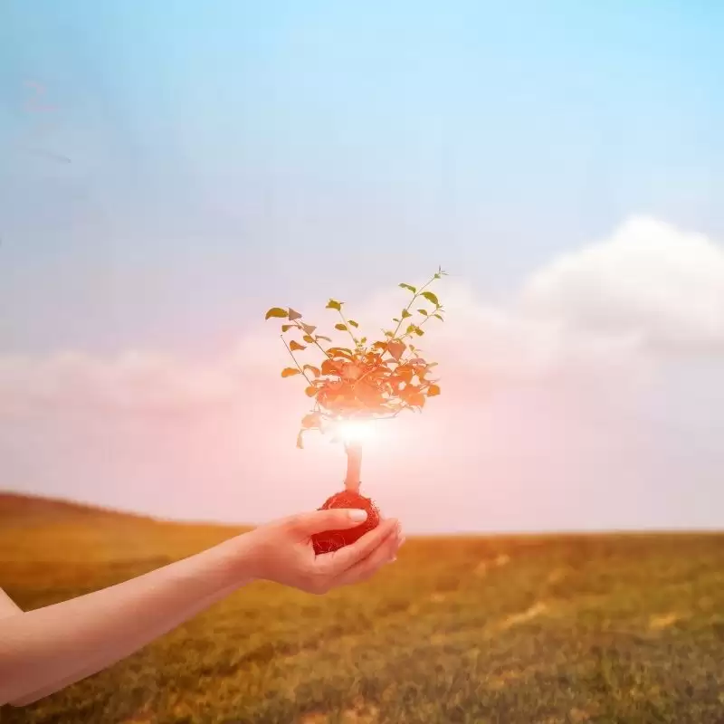 Yeni Yaşam Alışkanlıkları Geliştirebilmek