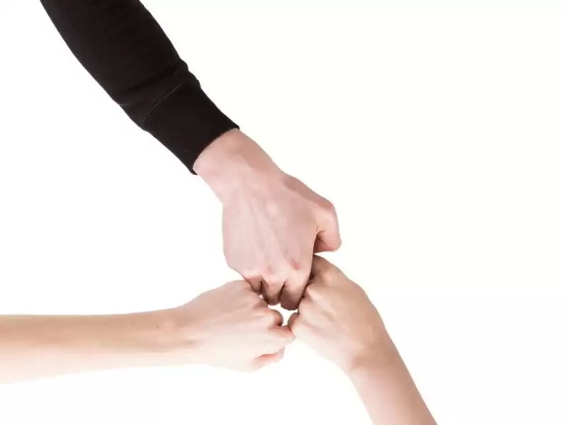 rezonansa-gonul-verdik